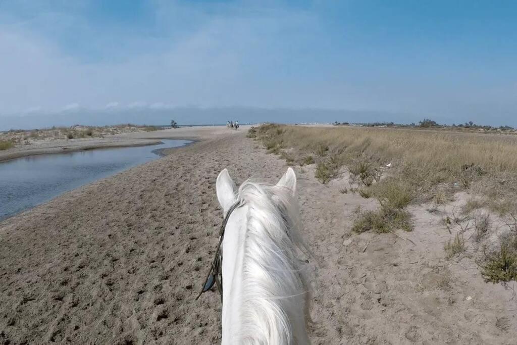 "Le Nature" Camargue Jardin Arles Eksteriør bilde